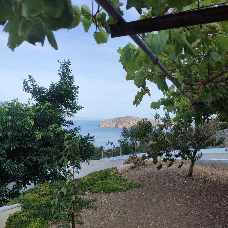 Villa Kefali Kavoúsion المظهر الخارجي الصورة