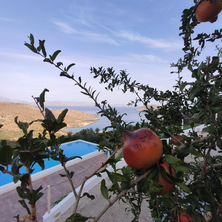 Villa Kefali Kavoúsion المظهر الخارجي الصورة